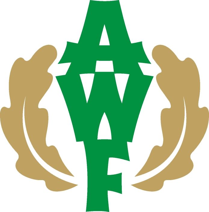 Zajęcia dla studentów